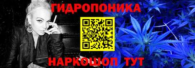 каннабис Кингисепп