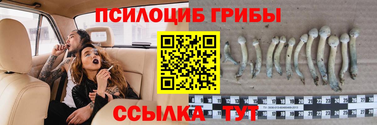Красный Сулин  Галлюциногенные грибы Psilocybine cubensis  Вход с VPN  что такое наркотик  Галлюциногенные грибы ЛСД 